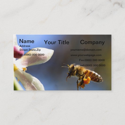 Hummelbiene, die alle von Pollen bedeckt sind Visitenkarte (Vorderseite)