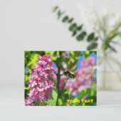 Hummelbiene schwebt über Lilacs Postkarte (Stehend Vorderseite)