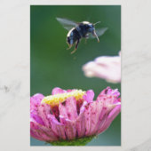 Hummelflug Briefpapier (Vorderseite)