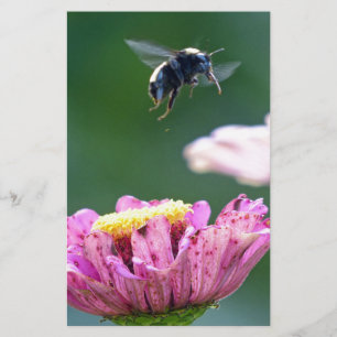 Hummelflug Briefpapier