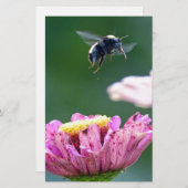 Hummelflug Briefpapier (Vorne/Hinten)