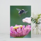 Hummelflug Briefpapier (Stehend Vorderseite)