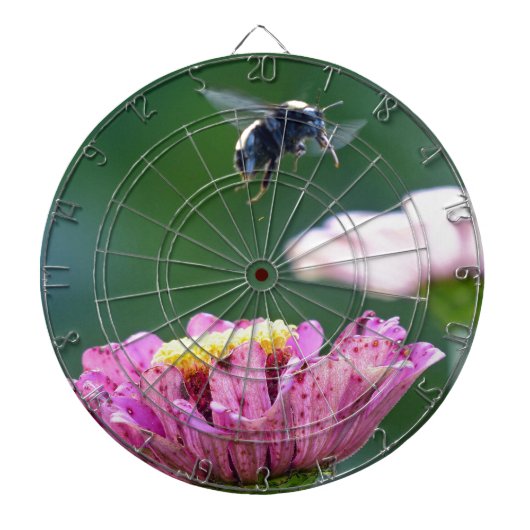 Hummelflug Dartscheibe (vorne)