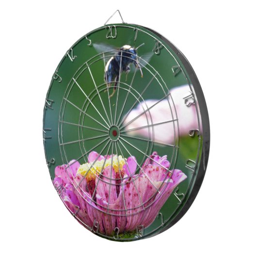 Hummelflug Dartscheibe (Vorderseite rechts)