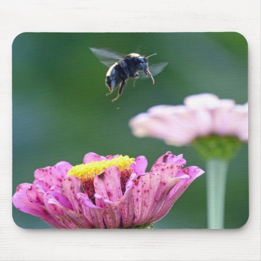 Hummelflug Mousepad (Vorne)