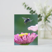 Hummelflug Postkarte (Stehend Vorderseite)