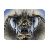 Hummelleiter Magnet (Horizontal)