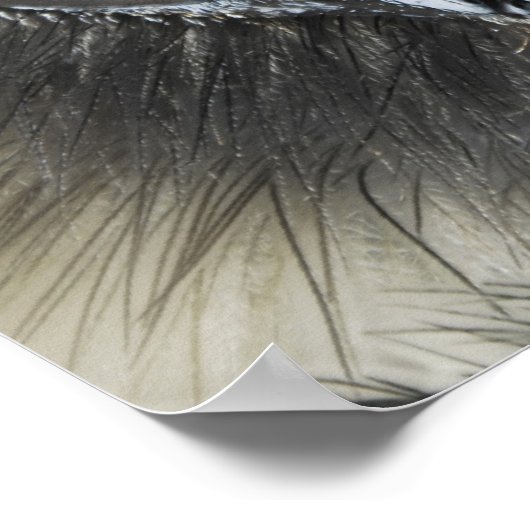 Hummelleiter Poster (Ecke)