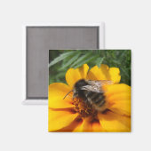 Hummelmagnet Magnet (Vorderseite/Rückseite)