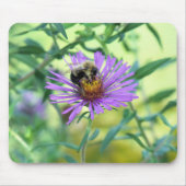 Hummeln am Lila Daisy Mousepad (Vorne)