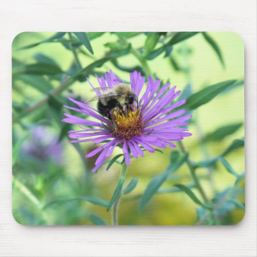 Hummeln am Lila Daisy Mousepad (Vorne)