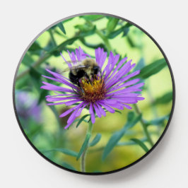 Hummeln am Lila Daisy PopSocket