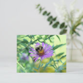 Hummeln am Lila Daisy Postkarte (Stehend Vorderseite)