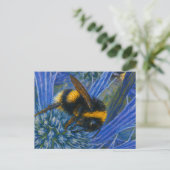Hummeln auf blauem Fleck Postkarte (Stehend Vorderseite)