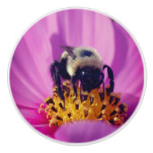 Hummeln auf der Blume des Kosmos Keramikknauf (Vorderseite)