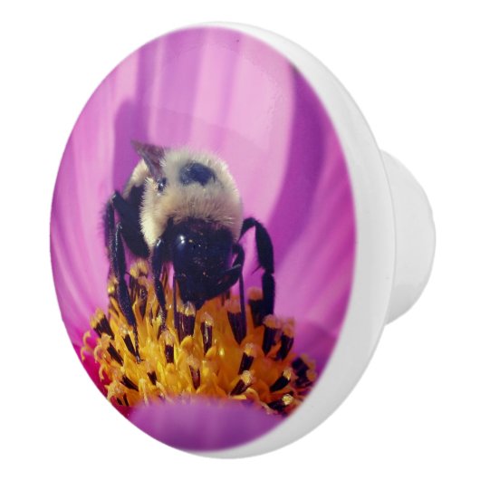 Hummeln auf der Blume des Kosmos Keramikknauf (Rechts)