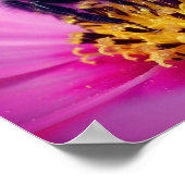 Hummeln auf der Blume des Kosmos Poster (Ecke)