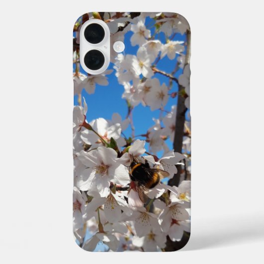 Hummeln auf der Blüte der Wildkirsche Case-Mate iPhone Hülle (Rückseite)
