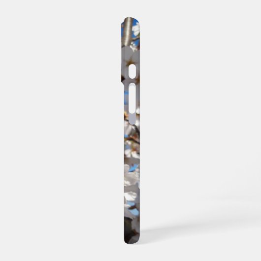 Hummeln auf der Blüte der Wildkirsche iPhone 16 Hülle (Linke Seite)