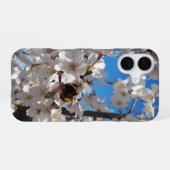 Hummeln auf der Blüte der Wildkirsche iPhone 16 Hülle (Rückseite (Horizontal))