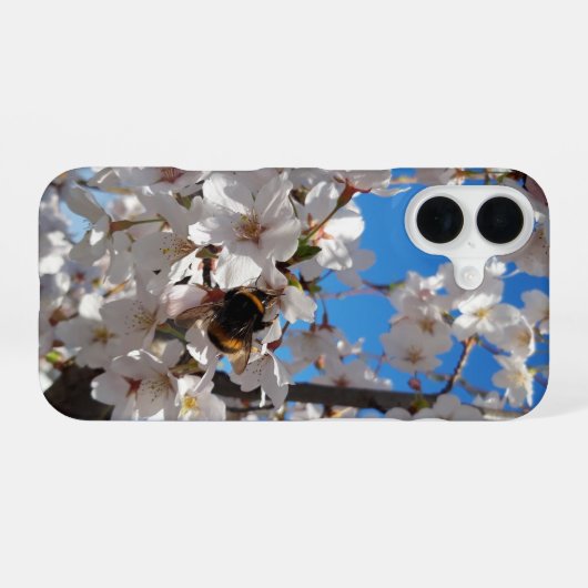 Hummeln auf der Blüte der Wildkirsche iPhone 16 Hülle (Rückseite (Horizontal))