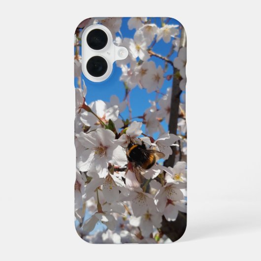 Hummeln auf der Blüte der Wildkirsche iPhone 16 Hülle (Rückseite)