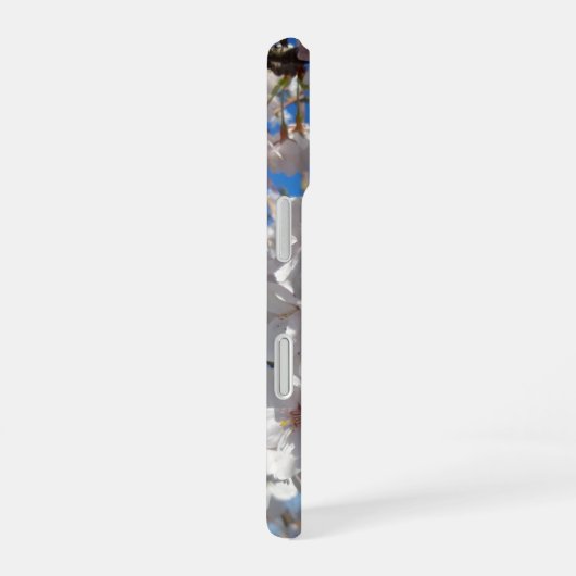 Hummeln auf der Blüte der Wildkirsche iPhone 16 Hülle (Rechte Seite)