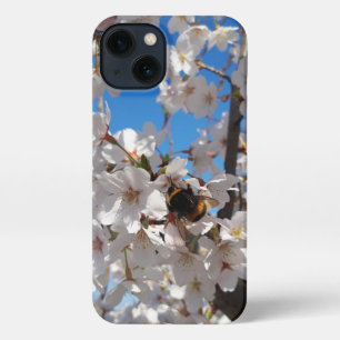 Hummeln auf der Blüte der Wildkirsche iPhone 13 Hülle
