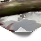 Hummeln auf der Blüte der Wildkirsche Poster (Ecke)