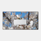 Hummeln auf der Blüte der Wildkirsche Schreibtischunterlage (Tastatur & Maus)