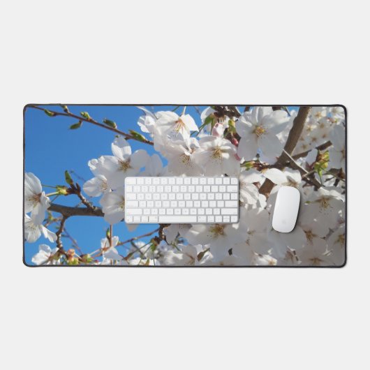 Hummeln auf der Blüte der Wildkirsche Schreibtischunterlage (Tastatur & Maus)