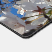 Hummeln auf der Blüte der Wildkirsche Schreibtischunterlage (Ecke)