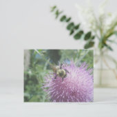 Hummeln auf der Thistle Postkarte (Stehend Vorderseite)