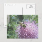 Hummeln auf der Thistle Postkarte (Vorne/Hinten)