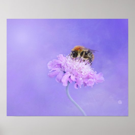 Hummeln auf einer Lila Blume Poster (Vorne)