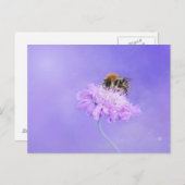 Hummeln auf einer Lila Blume Postkarte (Vorne/Hinten)