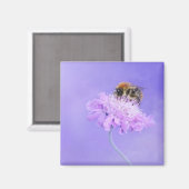 Hummeln auf einer rosa Blume Magnet (Vorderseite/Rückseite)