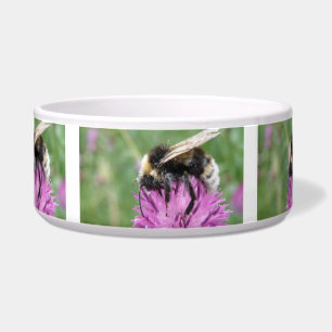 Hummeln auf einer Thistle Dog Bowl Napf