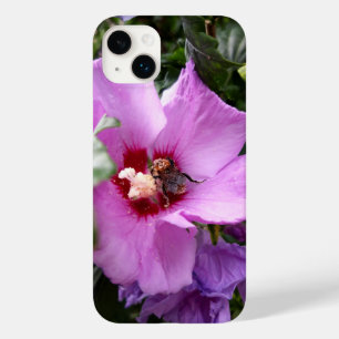 Hummeln auf Hibiskus Blume Case-Mate iPhone 14 Plus Hülle