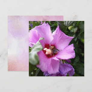 Hummeln auf Hibiskus Blume Feiertagskarte