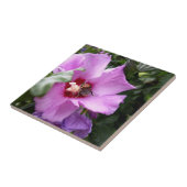 Hummeln auf Hibiskus Blume Fliese (Seite)