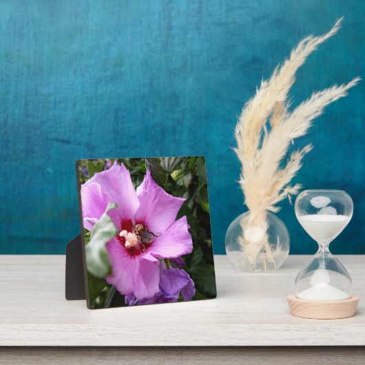 Hummeln auf Hibiskus Blume Fotoplatte (InSitu)