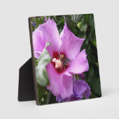 Hummeln auf Hibiskus Blume Fotoplatte (Vorderseite)