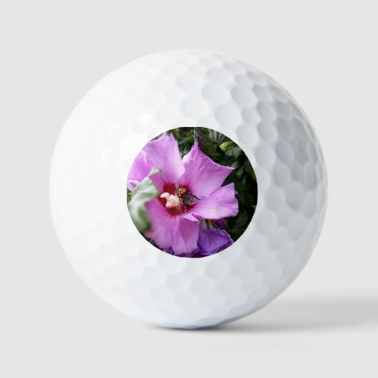 Hummeln auf Hibiskus Blume Golfball (Vorderseite)
