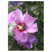 Hummeln auf Hibiskus Blume Klemmbrett (Rückseite)