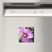 Hummeln auf Hibiskus Blume Magnet (In Situ (Geschirrspüler))