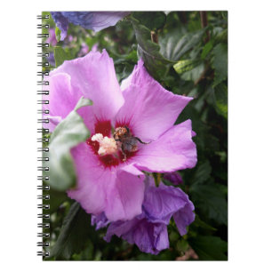 Hummeln auf Hibiskus Blume Notizblock