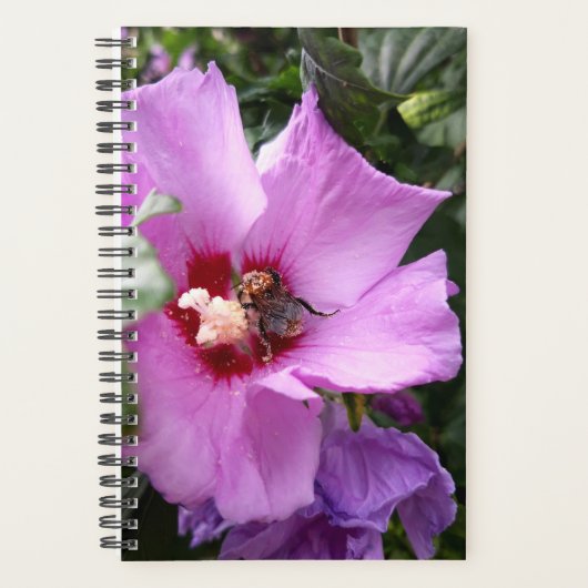 Hummeln auf Hibiskus Blume Planer (Vorderseite)