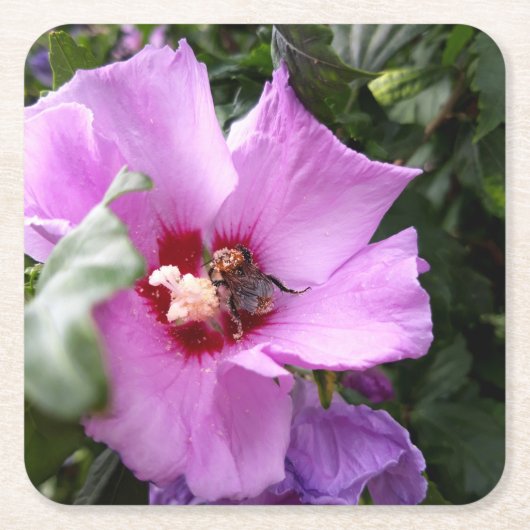 Hummeln auf Hibiskus Blume Rechteckiger Pappuntersetzer (Vorderseite)