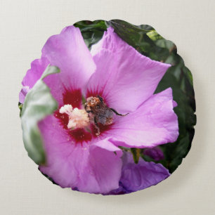 Hummeln auf Hibiskus Blume Rundes Kissen
